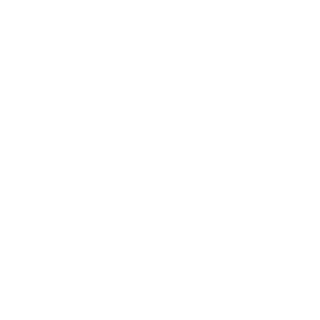 White sonic express logo